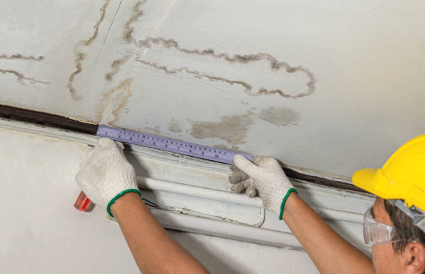 Reliable Structural Drying contractor in Richmond, VA by Water Damage Irwin